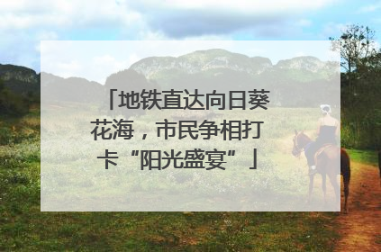 地铁直达向日葵花海，市民争相打卡“阳光盛宴”