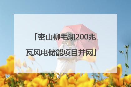 密山柳毛湖200兆瓦风电储能项目并网