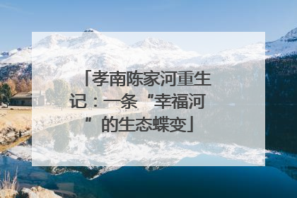 孝南陈家河重生记：一条“幸福河”的生态蝶变