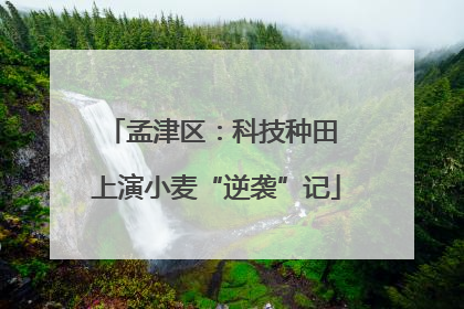 孟津区：科技种田 上演小麦“逆袭”记