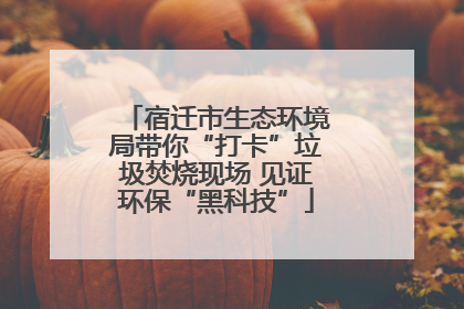 宿迁市生态环境局带你“打卡”垃圾焚烧现场 见证环保“黑科技”