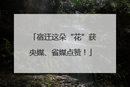 宿迁这朵“花”获央媒、省媒点赞！
