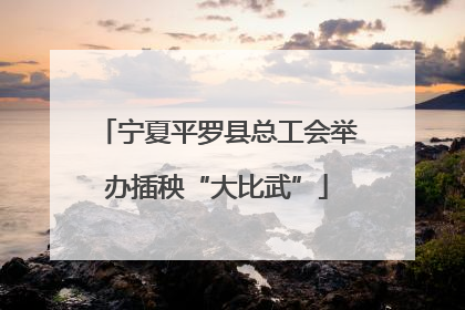宁夏平罗县总工会举办插秧“大比武”
