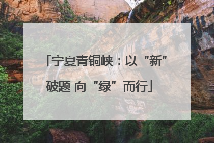 宁夏青铜峡：以“新”破题 向“绿”而行