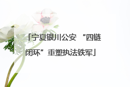宁夏银川公安 “四链闭环”重塑执法铁军