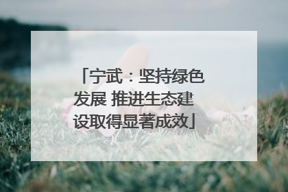 宁武：坚持绿色发展 推进生态建设取得显著成效