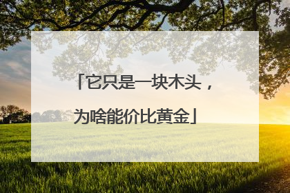 它只是一块木头，为啥能价比黄金