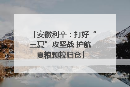 安徽利辛：打好“三夏”攻坚战 护航夏粮颗粒归仓