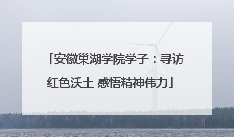 安徽巢湖学院学子：寻访红色沃土 感悟精神伟力