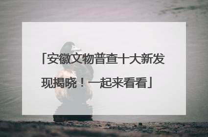 安徽文物普查十大新发现揭晓！一起来看看