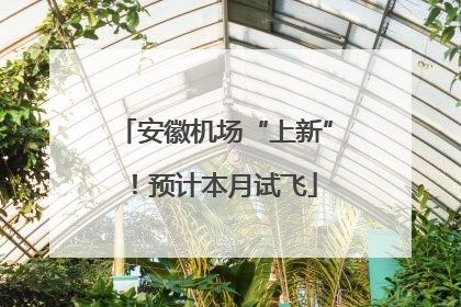 安徽机场“上新”！预计本月试飞