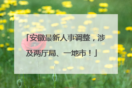 安徽最新人事调整，涉及两厅局、一地市！
