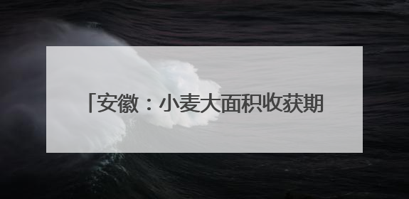 安徽：小麦大面积收获期在5月26日至6月上旬