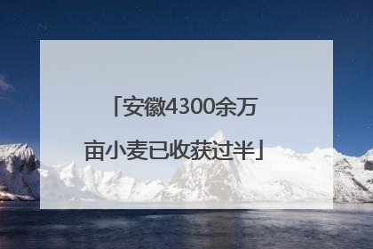 安徽4300余万亩小麦已收获过半