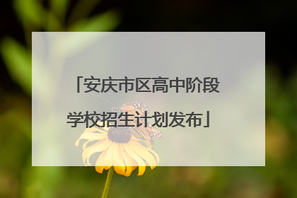 安庆市区高中阶段学校招生计划发布