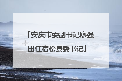 安庆市委副书记廖强出任宿松县委书记