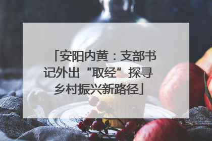 安阳内黄：支部书记外出“取经”探寻乡村振兴新路径