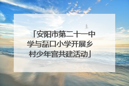 安阳市第二十一中学与磊口小学开展乡村少年宫共建活动