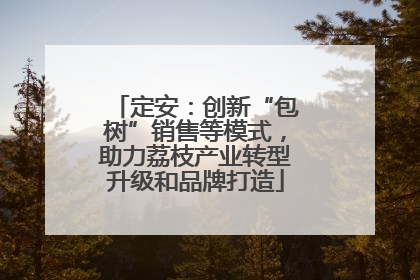 定安：创新“包树”销售等模式，助力荔枝产业转型升级和品牌打造