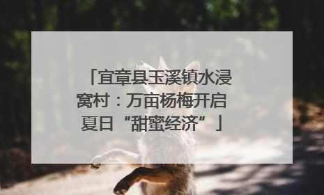 宜章县玉溪镇水浸窝村：万亩杨梅开启夏日“甜蜜经济”