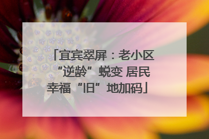 宜宾翠屏：老小区“逆龄”蜕变 居民幸福“旧”地加码