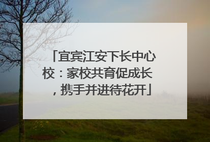 宜宾江安下长中心校：家校共育促成长，携手并进待花开