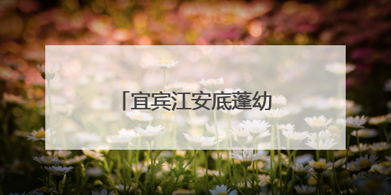 宜宾江安底蓬幼儿园：探秘小学，“幼”见成长