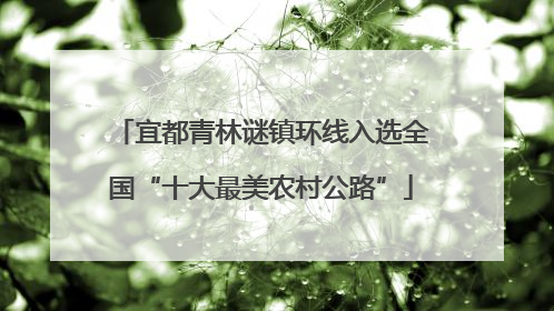 宜都青林谜镇环线入选全国“十大最美农村公路”