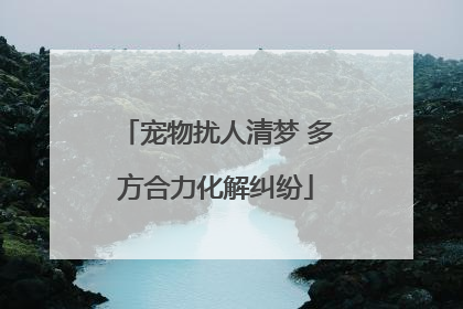 宠物扰人清梦 多方合力化解纠纷