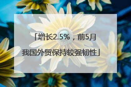 增长2.5%，前5月我国外贸保持较强韧性