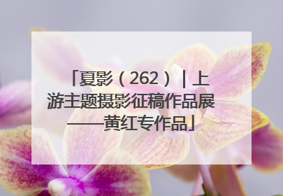 夏影（262）｜上游主题摄影征稿作品展——黄红专作品