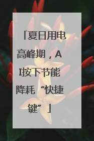 夏日用电高峰期，AI按下节能降耗“快捷键”