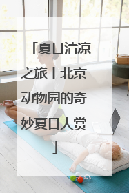 夏日清凉之旅丨北京动物园的奇妙夏日大赏