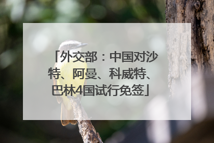 外交部：中国对沙特、阿曼、科威特、巴林4国试行免签
