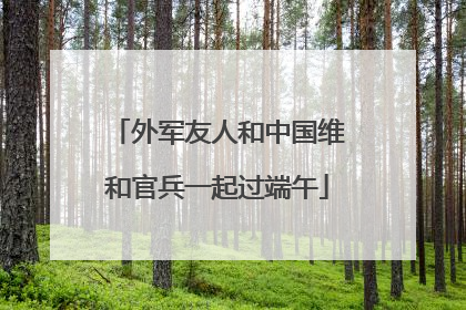 外军友人和中国维和官兵一起过端午