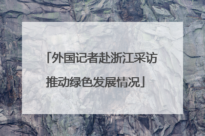 外国记者赴浙江采访推动绿色发展情况