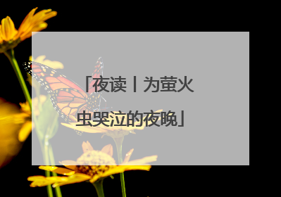 夜读丨为萤火虫哭泣的夜晚