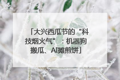 大兴西瓜节的“科技烟火气”：机器狗搬瓜、AI摊煎饼