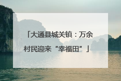 大通县城关镇：万余村民迎来“幸福田”