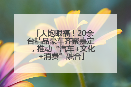 大饱眼福！20余台精品豪车齐聚嘉定，推动“汽车+文化+消费”融合