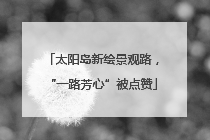 太阳岛新绘景观路，“一路芳心”被点赞