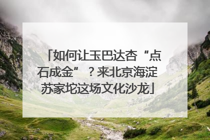 如何让玉巴达杏“点石成金”？来北京海淀苏家坨这场文化沙龙