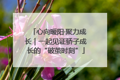 心向暖阳·聚力成长｜一起见证骄子成长的“破茧时刻”