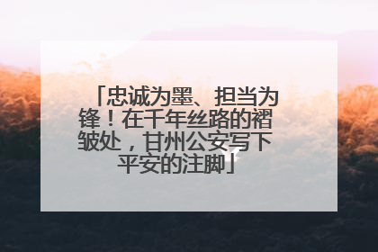 忠诚为墨、担当为锋！在千年丝路的褶皱处，甘州公安写下平安的注脚