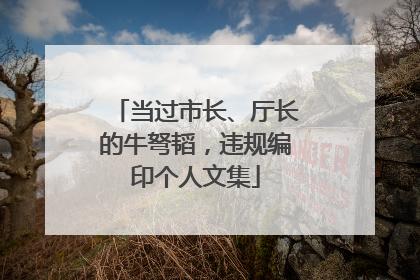 当过市长、厅长的牛弩韬，违规编印个人文集