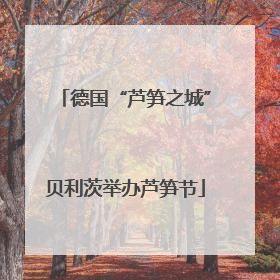 德国“芦笋之城”贝利茨举办芦笋节