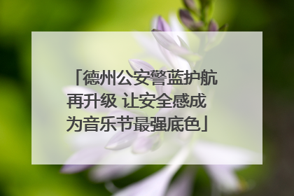 德州公安警蓝护航再升级 让安全感成为音乐节最强底色