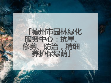 德州市园林绿化服务中心：抗旱、修剪、防治，精细养护保绿荫