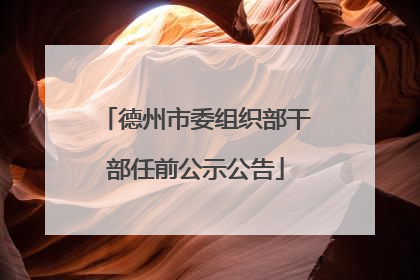 德州市委组织部干部任前公示公告