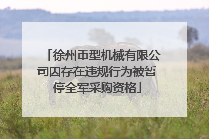 徐州重型机械有限公司因存在违规行为被暂停全军采购资格
